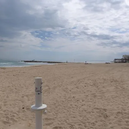 Modern In Torrevjea 200m From The Loccos Apartamento