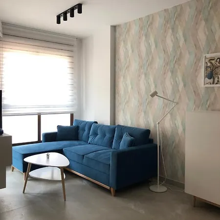 公寓 Modern In Torrevjea 200m From The Loccos 托雷维耶哈