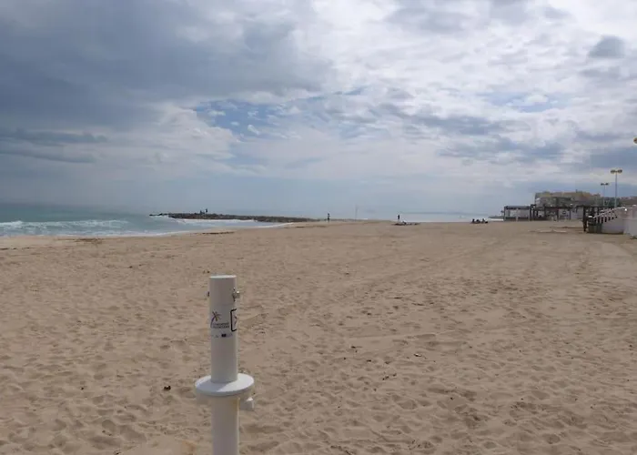 Modern In Torrevjea 200m From The Loccos Apartamento